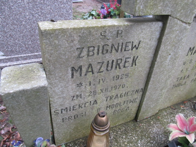 Witold Bogdan Mazurek 1899 Kamień Pomorski - Grobonet - Wyszukiwarka osób pochowanych