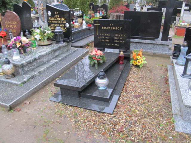 Grób Adam  Wiśniewski 